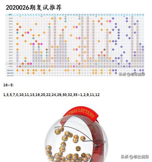 王中王026期指一生肖，深度解讀與SEO優(yōu)化策略，王中王026期生肖深度解讀與SEO優(yōu)化策略全解析